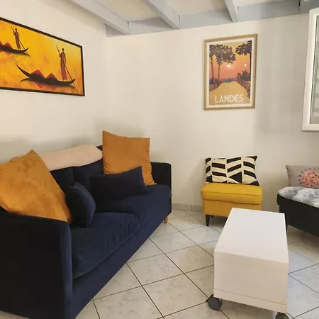 Patio Proche Avec Piscine Collective, Cour Aménagée Et Parking Privé - Fr-1-413-139 Capbreton