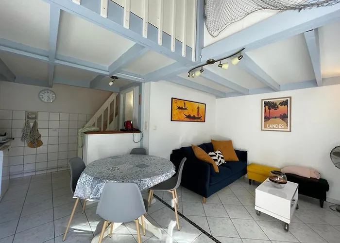 Patio Proche Avec Piscine Collective, Cour Amenagee Et Parking Prive - Fr-1-413-139 * Capbreton